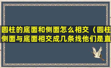 圆柱的底面和侧面怎么相交（圆柱侧面与底面相交成几条线他们是直的还是曲的）