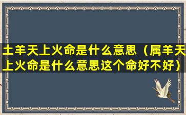 土羊天上火命是什么意思（属羊天上火命是什么意思这个命好不好）