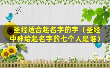 圣经适合起名字的字（圣经中神给起名字的七个人是谁）