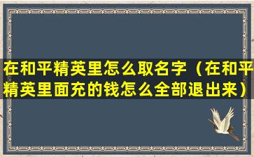 在和平精英里怎么取名字（在和平精英里面充的钱怎么全部退出来）