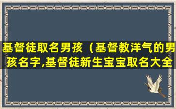 基督徒取名男孩（基督教洋气的男孩名字,基督徒新生宝宝取名大全男孩名）