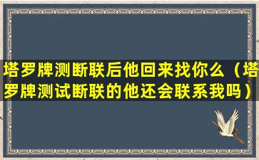 塔罗牌测断联后他回来找你么（塔罗牌测试断联的他还会联系我吗）