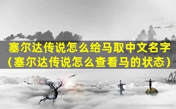 塞尔达传说怎么给马取中文名字（塞尔达传说怎么查看马的状态）