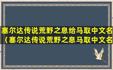 塞尔达传说荒野之息给马取中文名（塞尔达传说荒野之息马取中文名字）