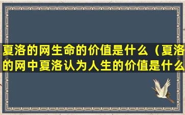 夏洛的网生命的价值是什么（夏洛的网中夏洛认为人生的价值是什么）