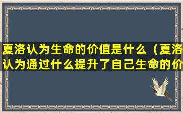 夏洛认为生命的价值是什么（夏洛认为通过什么提升了自己生命的价值）