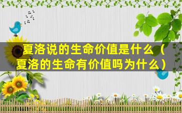 夏洛说的生命价值是什么（夏洛的生命有价值吗为什么）