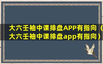 大六壬袖中课排盘APP有指向（大六壬袖中课排盘app有指向）