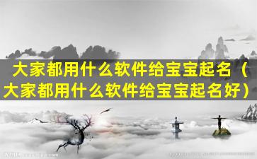 大家都用什么软件给宝宝起名（大家都用什么软件给宝宝起名好）