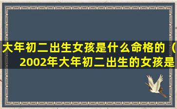 大年初二出生女孩是什么命格的（2002年大年初二出生的女孩是什么命）