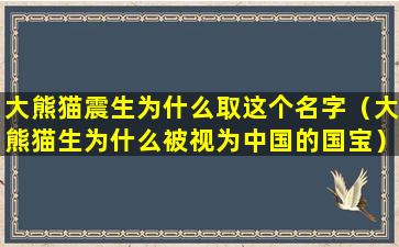 大熊猫震生为什么取这个名字（大熊猫生为什么被视为中国的国宝）