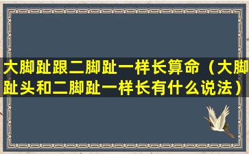 大脚趾跟二脚趾一样长算命（大脚趾头和二脚趾一样长有什么说法）