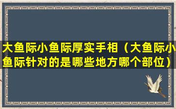 大鱼际小鱼际厚实手相（大鱼际小鱼际针对的是哪些地方哪个部位）