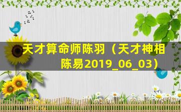 天才算命师陈羽（天才神相陈易2019_06_03）