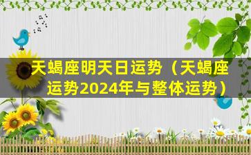 天蝎座明天日运势（天蝎座运势2024年与整体运势）