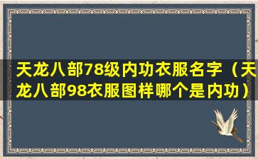 天龙八部78级内功衣服名字（天龙八部98衣服图样哪个是内功）