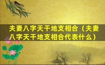 夫妻八字天干地支相合（夫妻八字天干地支相合代表什么）