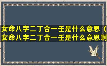 女命八字二丁合一壬是什么意思（女命八字二丁合一壬是什么意思啊）