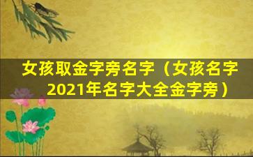 女孩取金字旁名字（女孩名字2021年名字大全金字旁）