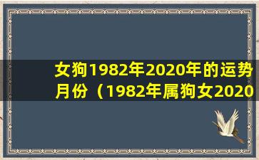 女狗1982年2020年的运势月份（1982年属狗女2020年运势及运程每月运程破解）