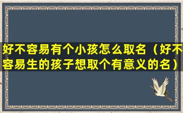 好不容易有个小孩怎么取名（好不容易生的孩子想取个有意义的名）