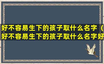 好不容易生下的孩子取什么名字（好不容易生下的孩子取什么名字好听）