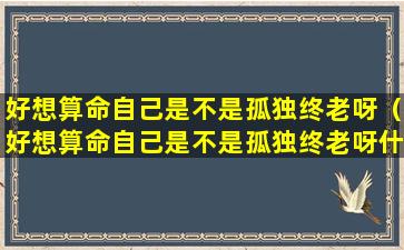 好想算命自己是不是孤独终老呀（好想算命自己是不是孤独终老呀什么意思）