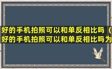 好的手机拍照可以和单反相比吗（好的手机拍照可以和单反相比吗为什么）