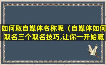 如何取自媒体名称呢（自媒体如何取名三个取名技巧,让你一开始赢在起跑线上）