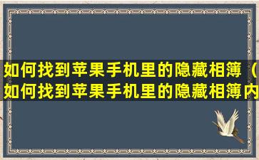 如何找到苹果手机里的隐藏相簿（如何找到苹果手机里的隐藏相簿内容）