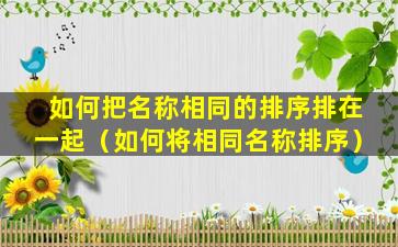 如何把名称相同的排序排在一起（如何将相同名称排序）