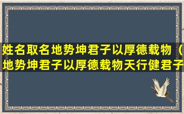 姓名取名地势坤君子以厚德载物（地势坤君子以厚德载物天行健君子以自强不息）