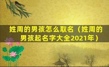 姓周的男孩怎么取名（姓周的男孩起名字大全2021年）