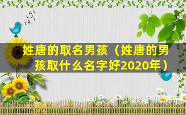 姓唐的取名男孩（姓唐的男孩取什么名字好2020年）