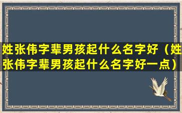 姓张伟字辈男孩起什么名字好（姓张伟字辈男孩起什么名字好一点）