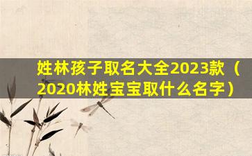 姓林孩子取名大全2023款（2020林姓宝宝取什么名字）