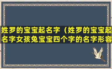 姓罗的宝宝起名字（姓罗的宝宝起名字女孩兔宝宝四个字的名字形容）