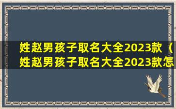 姓赵男孩子取名大全2023款（姓赵男孩子取名大全2023款怎么取）