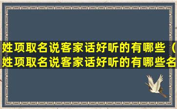 姓项取名说客家话好听的有哪些（姓项取名说客家话好听的有哪些名字）