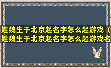 姓魏生于北京起名字怎么起游戏（姓魏生于北京起名字怎么起游戏名字好听）