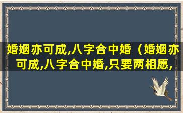 婚姻亦可成,八字合中婚（婚姻亦可成,八字合中婚,只要两相愿,也可定乾坤）