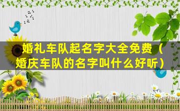 婚礼车队起名字大全免费（婚庆车队的名字叫什么好听）