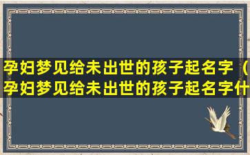 孕妇梦见给未出世的孩子起名字（孕妇梦见给未出世的孩子起名字什么意思）