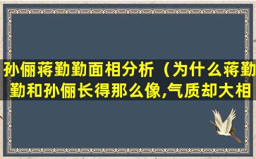 孙俪蒋勤勤面相分析（为什么蒋勤勤和孙俪长得那么像,气质却大相径庭）