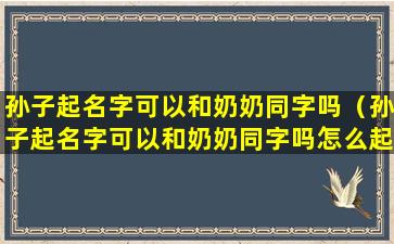 孙子起名字可以和奶奶同字吗（孙子起名字可以和奶奶同字吗怎么起）