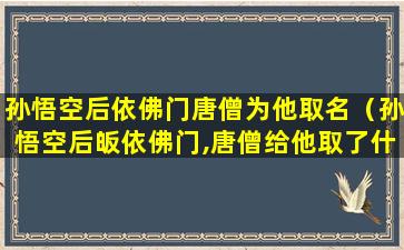 孙悟空后依佛门唐僧为他取名（孙悟空后皈依佛门,唐僧给他取了什么名字）