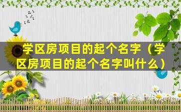 学区房项目的起个名字（学区房项目的起个名字叫什么）