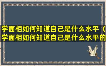 学面相如何知道自己是什么水平（学面相如何知道自己是什么水平的人）