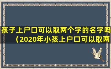 孩子上户口可以取两个字的名字吗（2020年小孩上户口可以取两个字的名字吗）