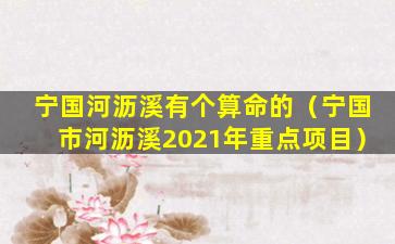 宁国河沥溪有个算命的（宁国市河沥溪2021年重点项目）